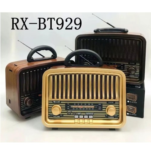 Bluetooth FM / AM / TF Speaker (30x21x12.5cm) - No DC
